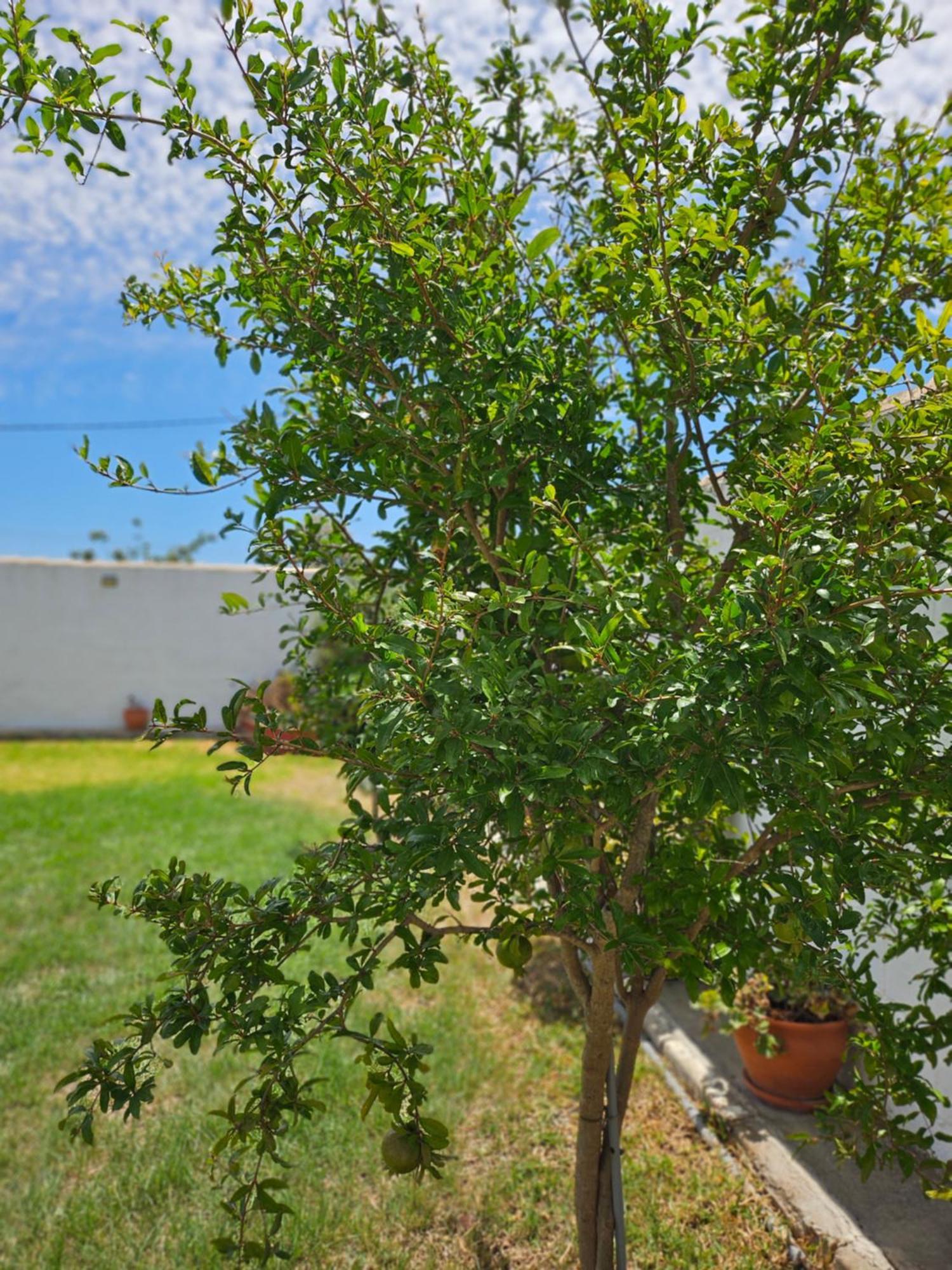 Villa Nonina Chiclana de la Frontera Zewnętrze zdjęcie